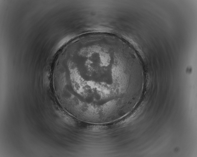 X0000100471163200806201600