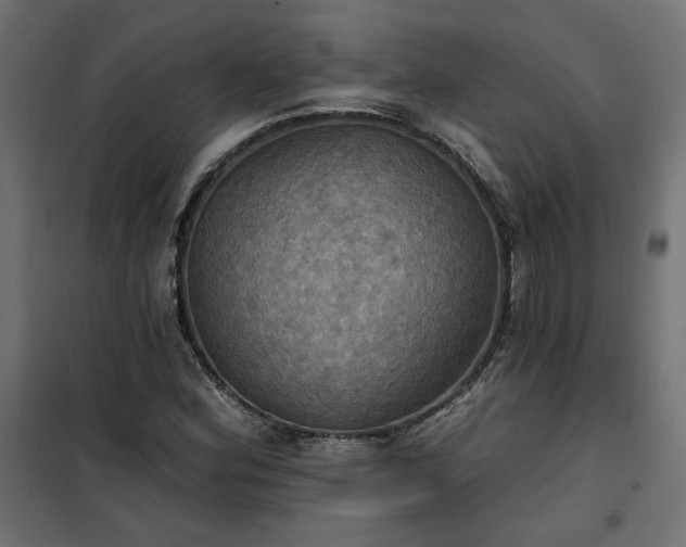 X0000100471164200806201600