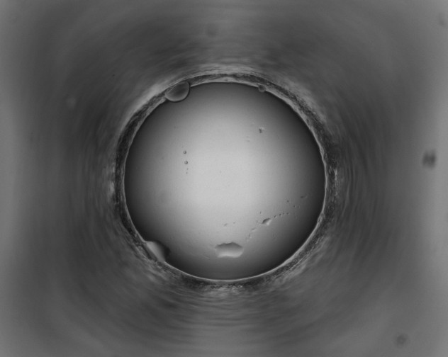 X0000100471165200806201600