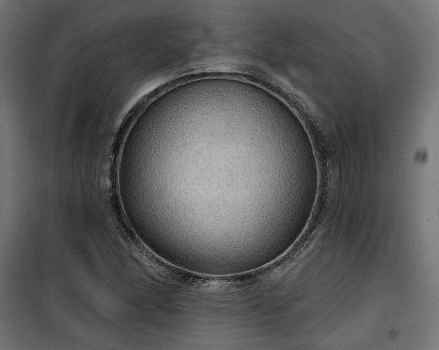 X0000100471166200806201600