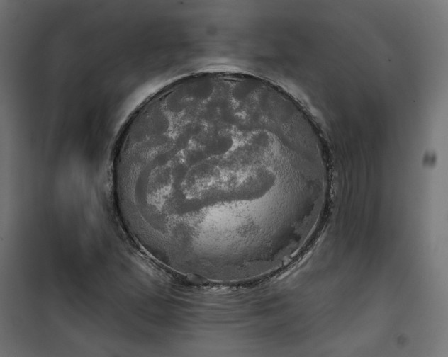 X0000100471167200806201600