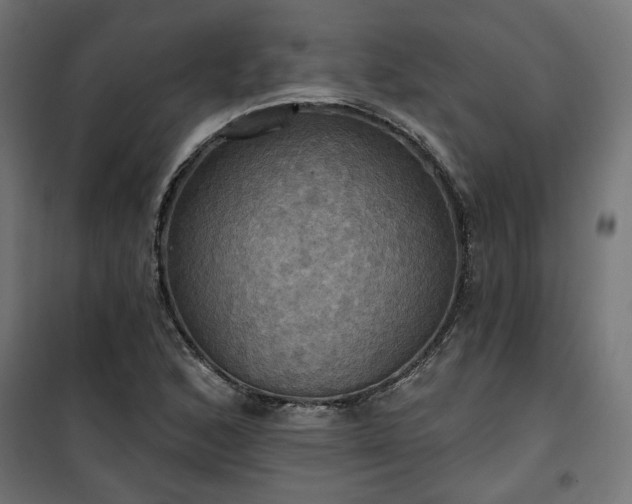 X0000100471168200806201600