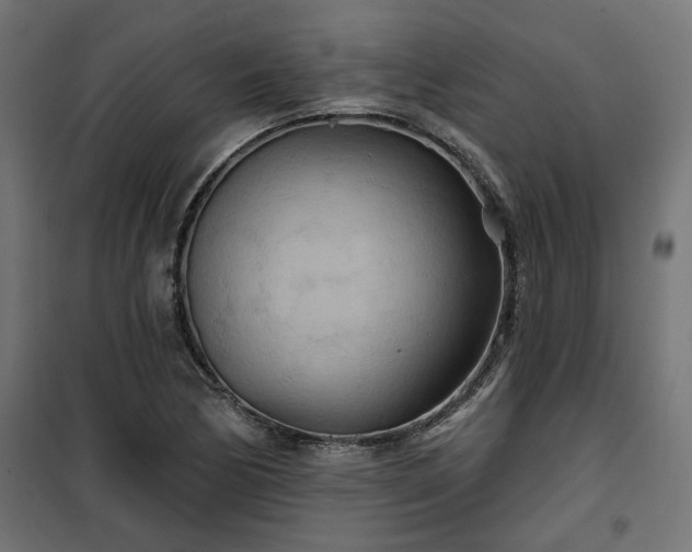 X0000100471170200806201600