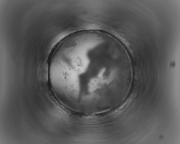 X0000100471171200806201600