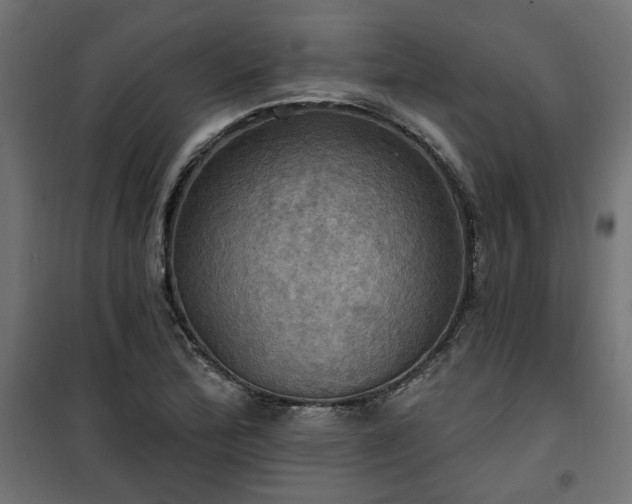 X0000100471172200806201600