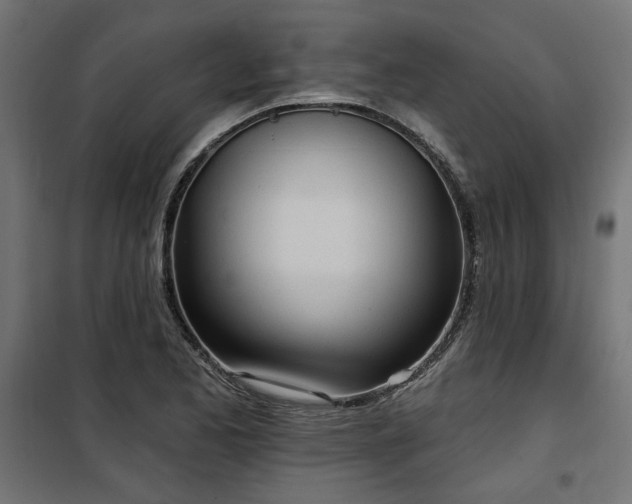 X0000100471173200806201600