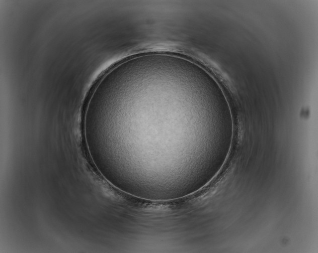 X0000100471174200806201600