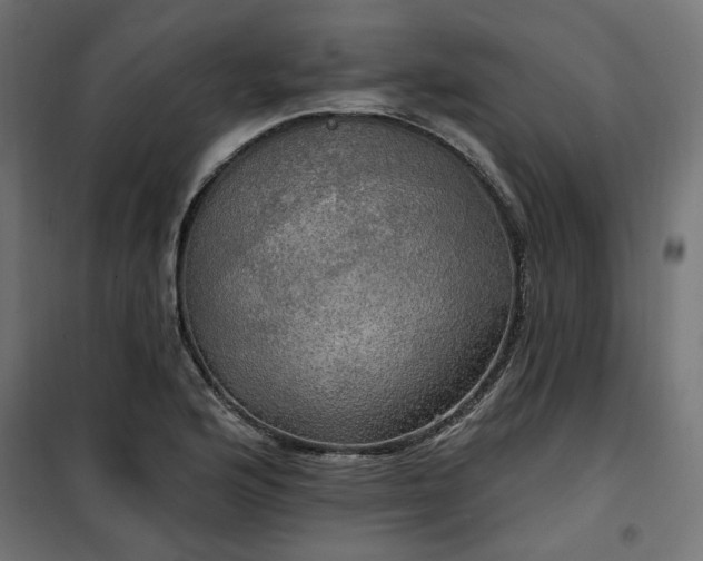 X0000100471176200806201600