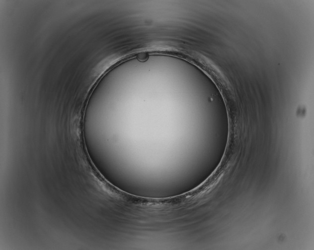 X0000100471177200806201600