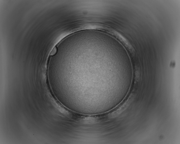 X0000100471178200806201600