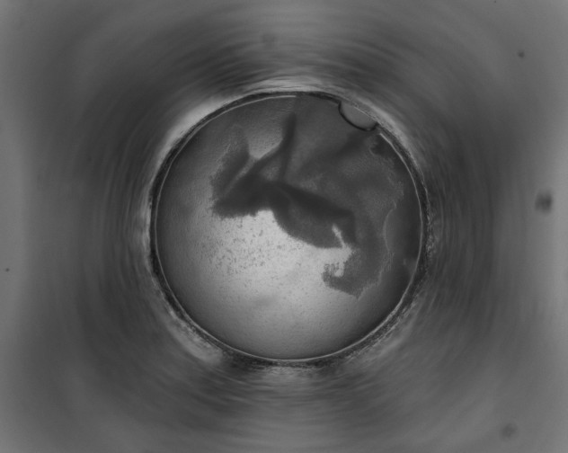 X0000100471179200806201559