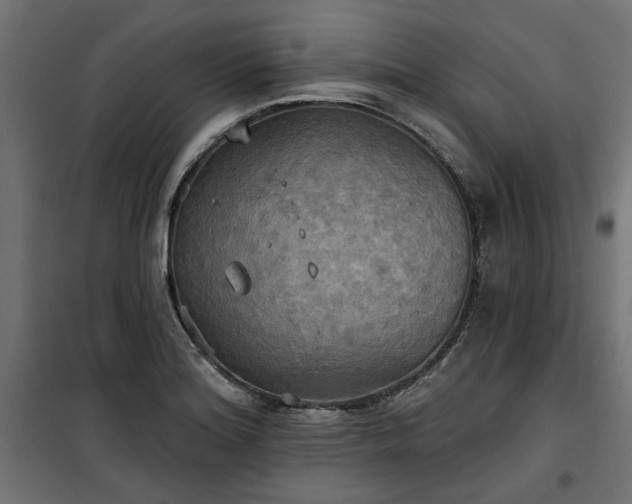 X0000100471180200806201559