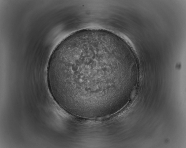 X0000100471183200806201559