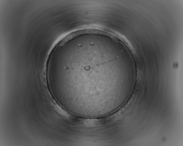 X0000100471184200806201559