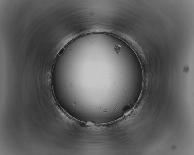 X0000100471185200806201559