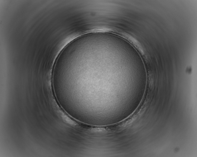 X0000100471186200806201559