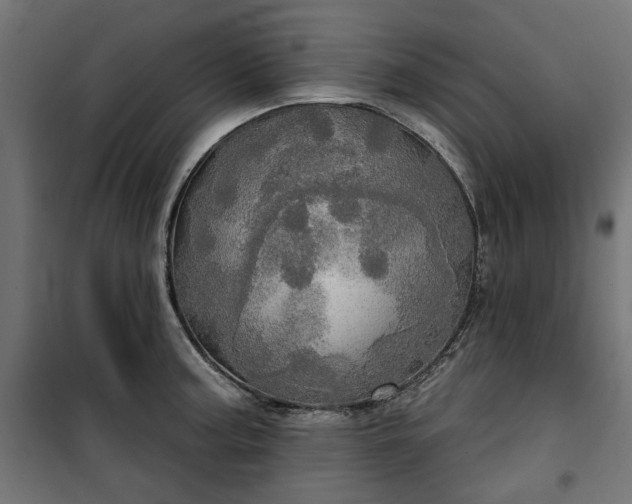 X0000100471187200806201559