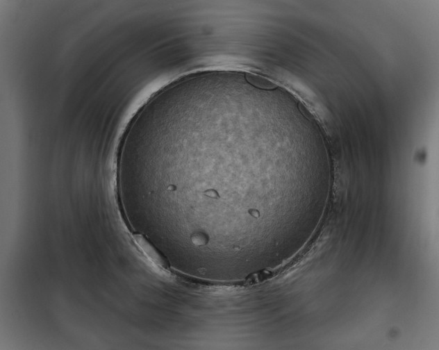 X0000100471188200806201559