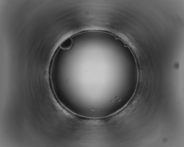 X0000100471189200806201559