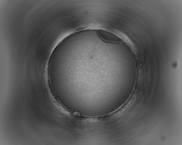 X0000100471190200806201559