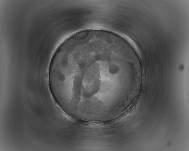 X0000100471191200806201559