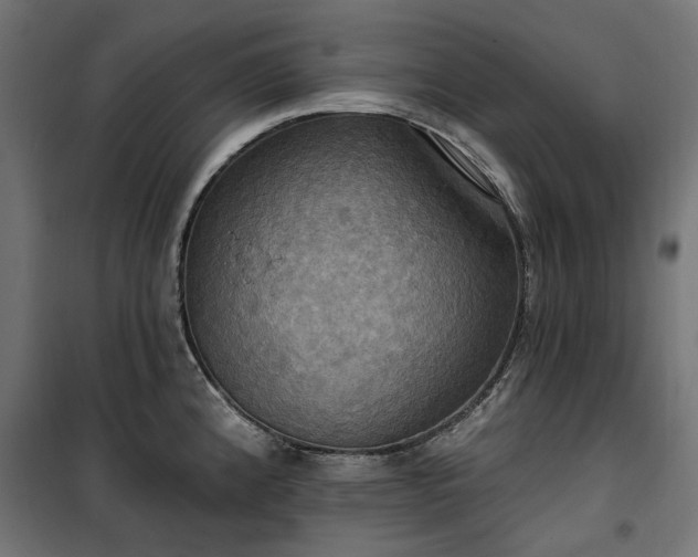 X0000100471192200806201559