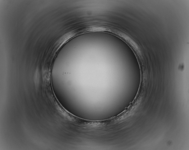 X0000100471193200806201559