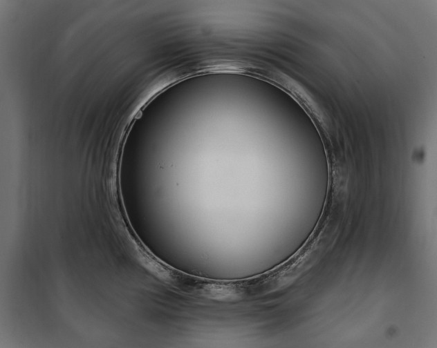 X0000100471194200806201559