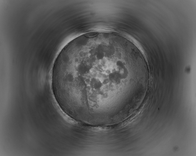 X0000100471195200806201559