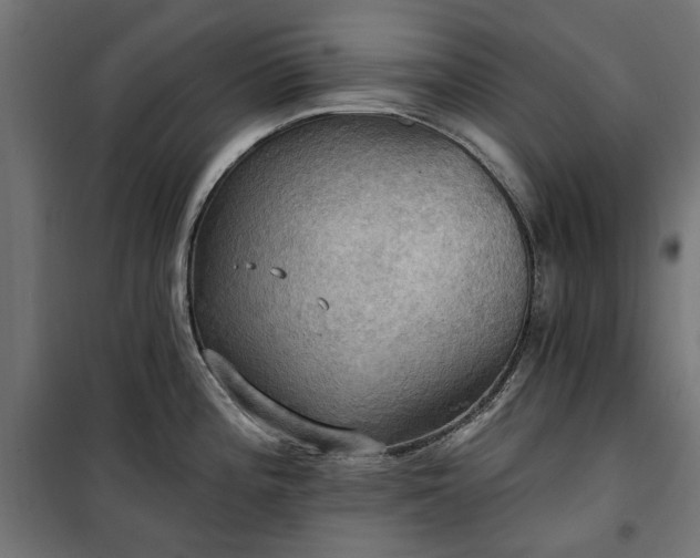 X0000100471196200806201559