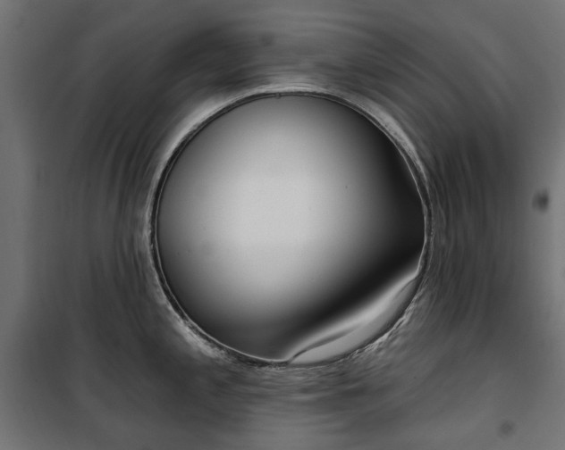 X0000100471197200806201559