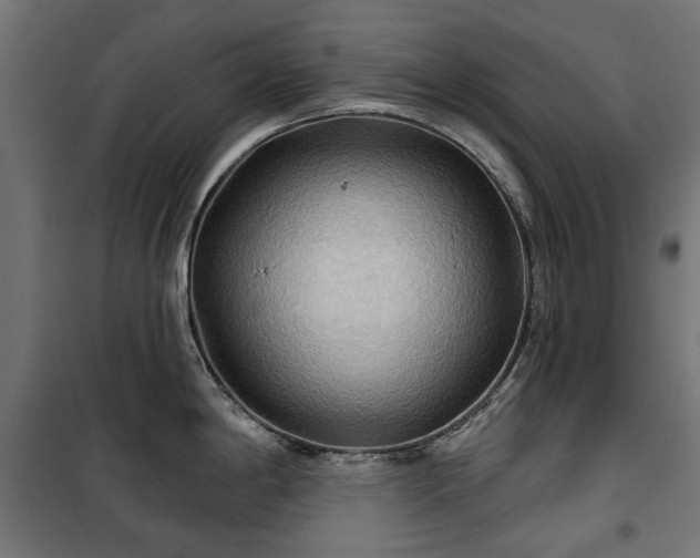 X0000100471198200806201559