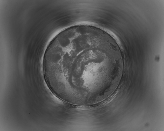 X0000100471199200806201559