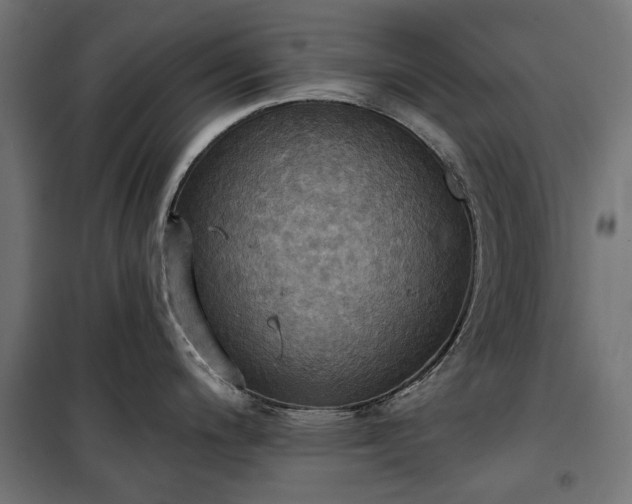 X0000100471200200806201559