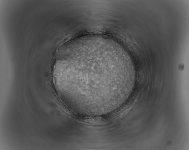 X0000100471201200806201558