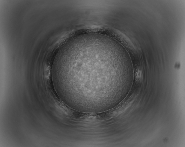 X0000100471204200806201558