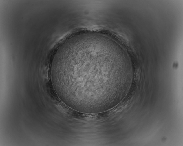 X0000100471205200806201558