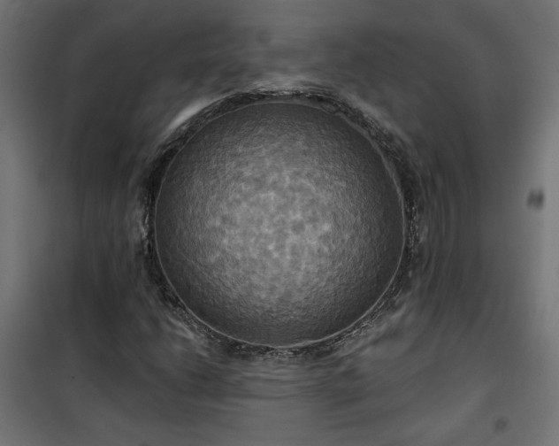 X0000100471206200806201558