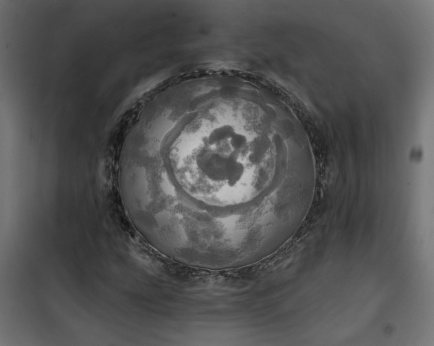 X0000100471207200806201558