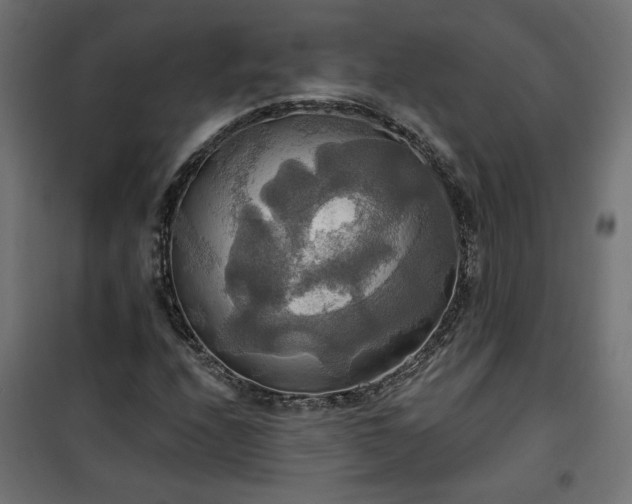 X0000100471208200806201558