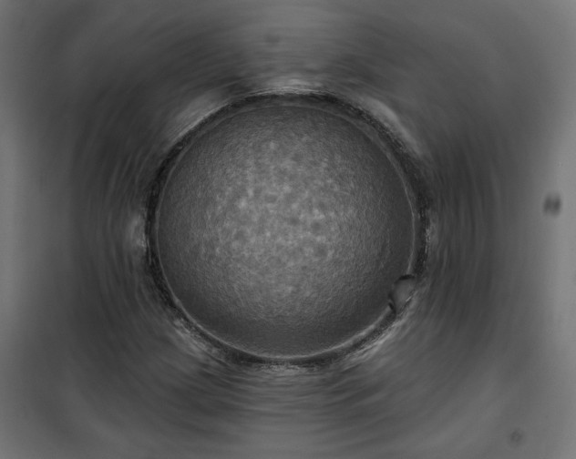 X0000100471209200806201558