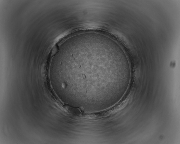 X0000100471210200806201558