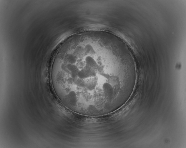 X0000100471211200806201558