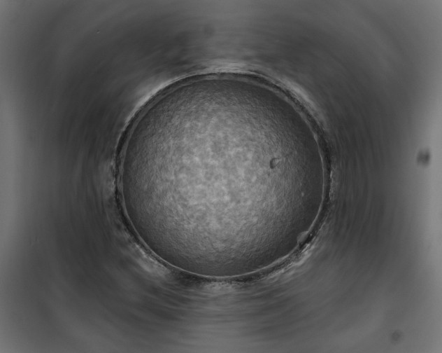 X0000100471212200806201559