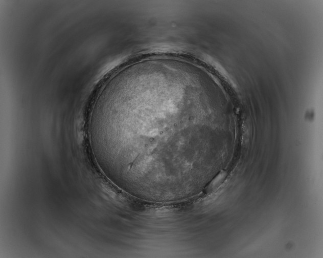 X0000100471213200806201559