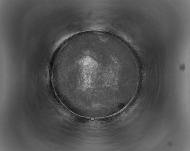 X0000100471214200806201559