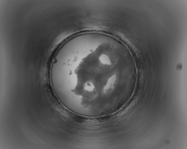 X0000100471215200806201559