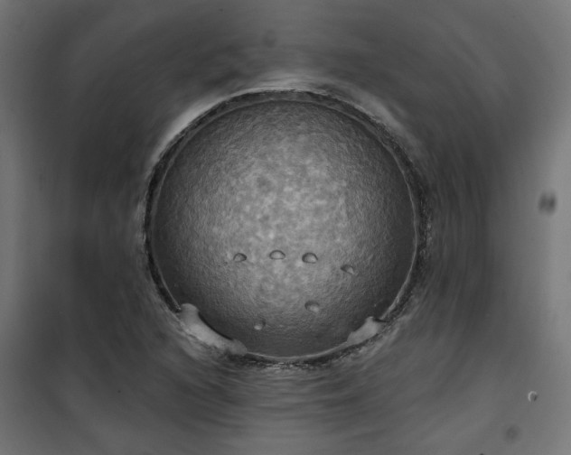 X0000100471216200806201559