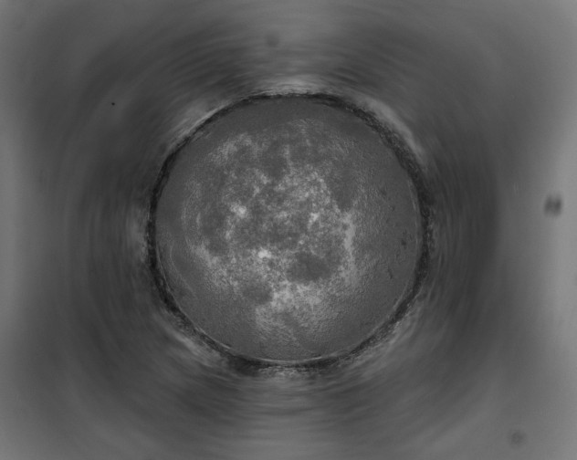 X0000100471217200806201559