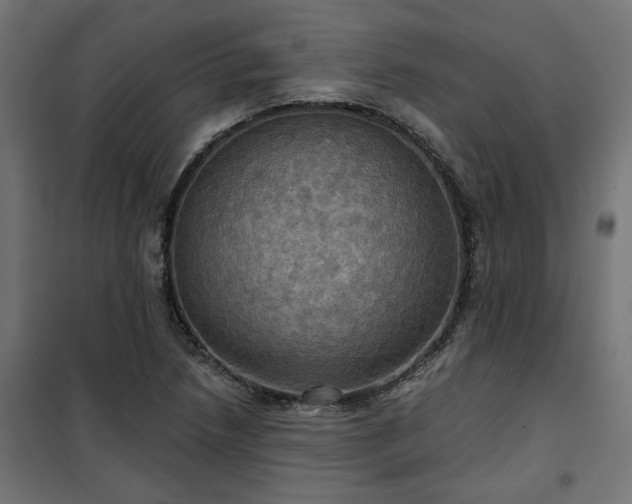 X0000100471218200806201559